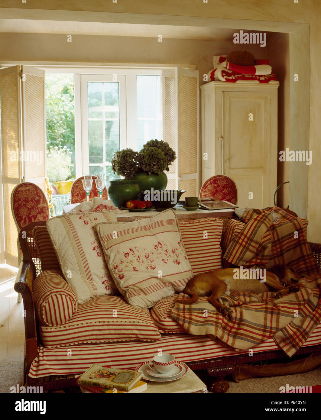 Cane dormire su controllato un lenzuolo sul divano Bergere con striature e cuscini floreali in cottage salotto Foto Stock