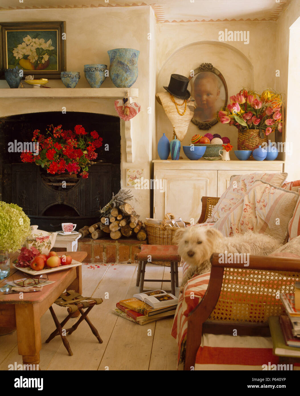 White Terrier cane sdraiato sul divano Bergere nel paese soggiorno con parquet verniciato Foto Stock