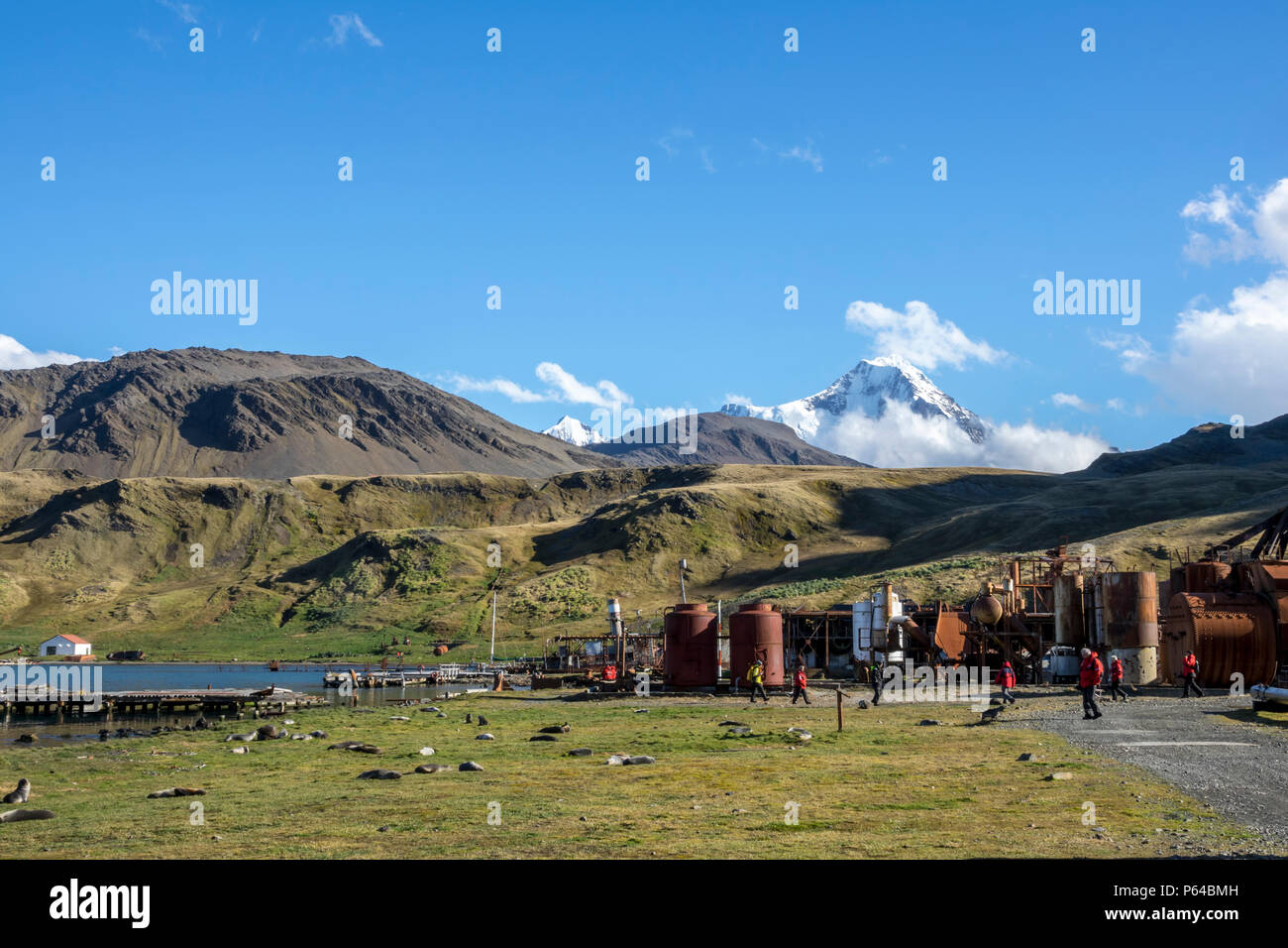 Expedition nave passeggeri a Grytviken, con snow-capped picco in background, Georgia del Sud Foto Stock