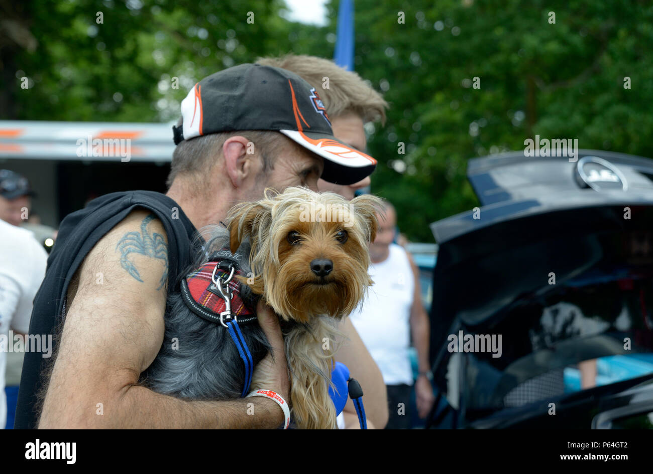 Dog Face, tenuto alta, tatuato guy. Foto Stock