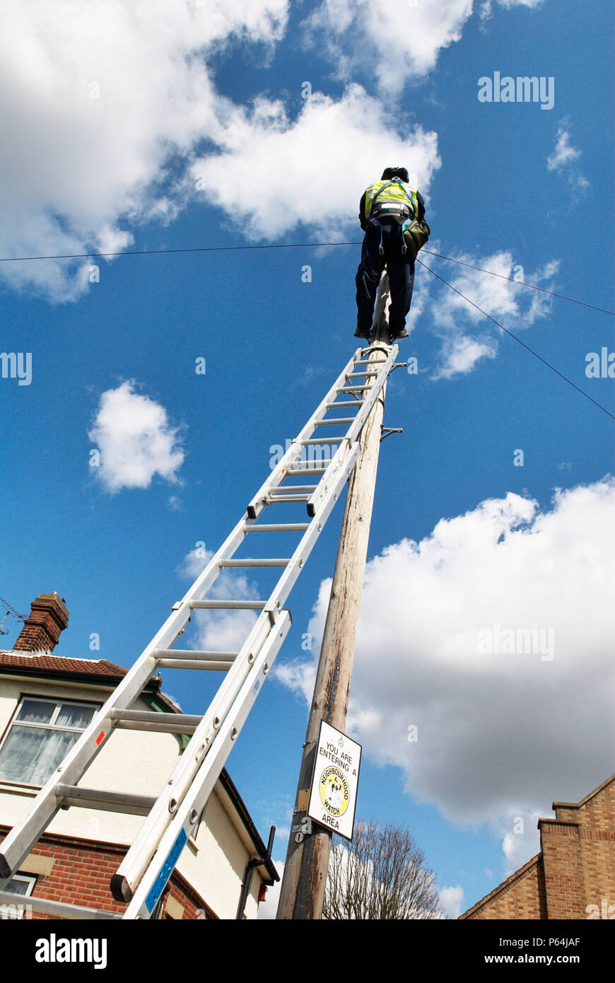 Tecnico di telefonia su una scala la riparazione di linee residenziali, Ipswich, Suffolk, Regno Unito Foto Stock