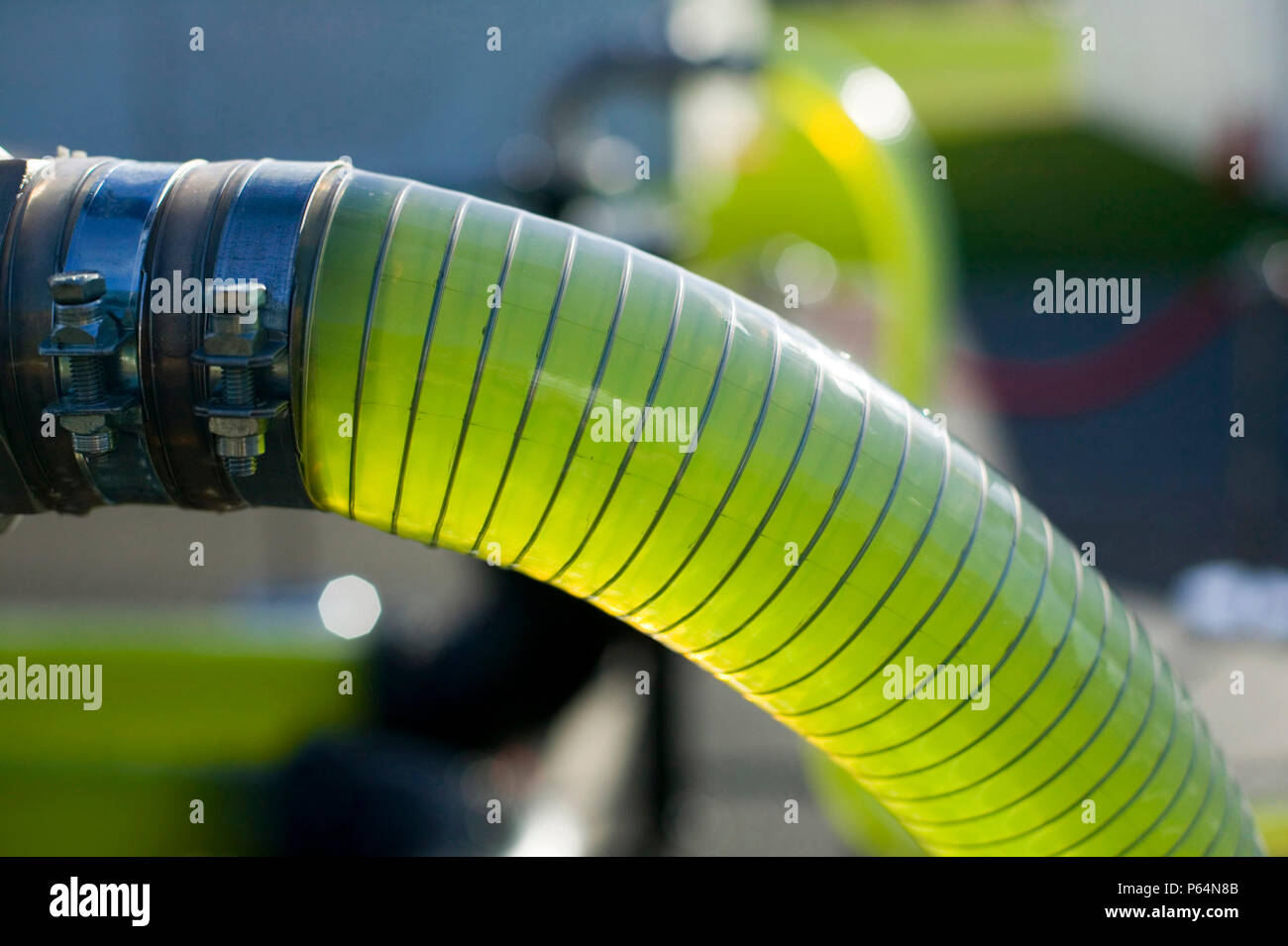 Un AlgaeLink alghe sistema di coltivazione che viene raccolto per rendere l'etanolo e il biodiesel. La produzione di olio da alghe in questo modo è molto più efficiente di fr Foto Stock Un AlgaeLink alghe sistema di coltivazione che viene raccolto per rendere l'etanolo e il biodiesel. La produzione di olio da alghe in questo modo è molto più efficiente di fr Foto Stock