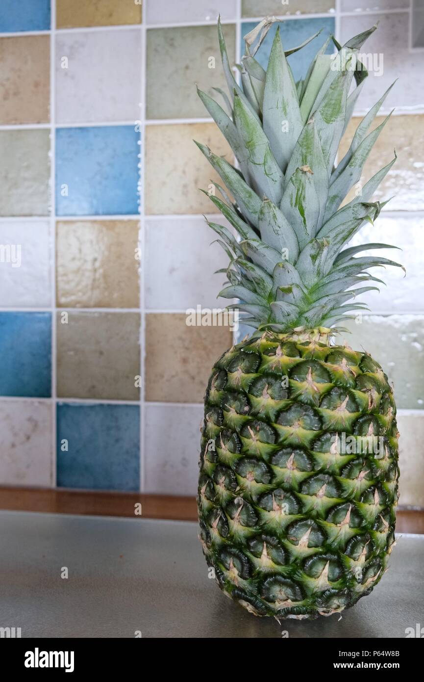 Ananas in parte anteriore del coloratissimo parete piastrellata in cucina Foto Stock