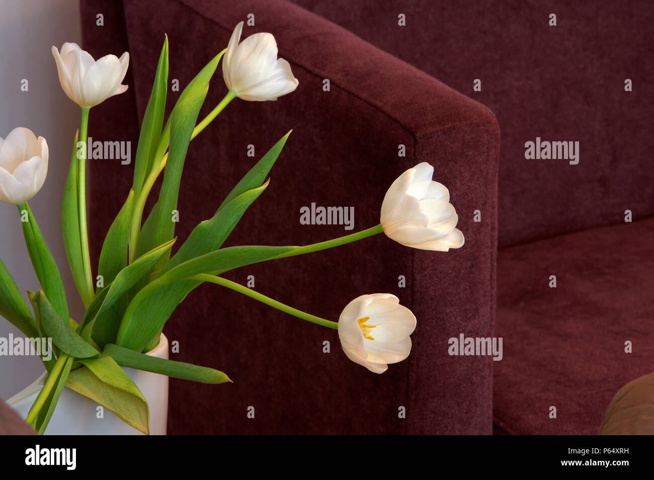 Fiori in vaso da divano Foto Stock