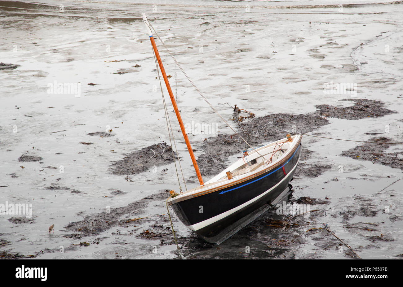 Barca a bassa marea, recante sul terreno, Scotland, Regno Unito. Foto Stock