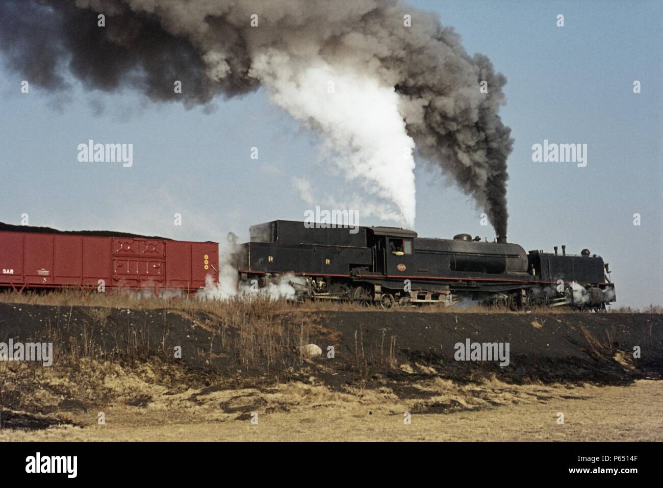 Un ex Ferrovie rhodesiano 16 Classe 2-8-2 + 2-8-2 Garratt tempeste il gradiente fuori del Transvaal Colliery di navigazione con un caricato carbone treno per la S Foto Stock