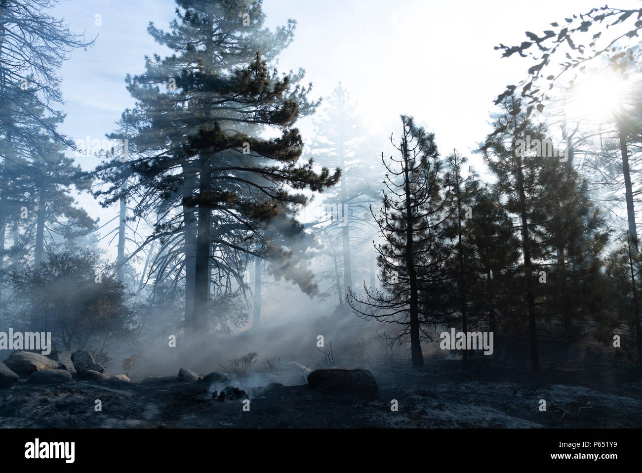 San Jacinto Mountains, CA - MARZO 29: Serrano i nativi americani rimane di un buon mortaio fori nella roccia, dove ghiande e semi sono stati preparati per il cibo in San Jacinto Mountains, la California il 3 aprile 2018. Foto Stock