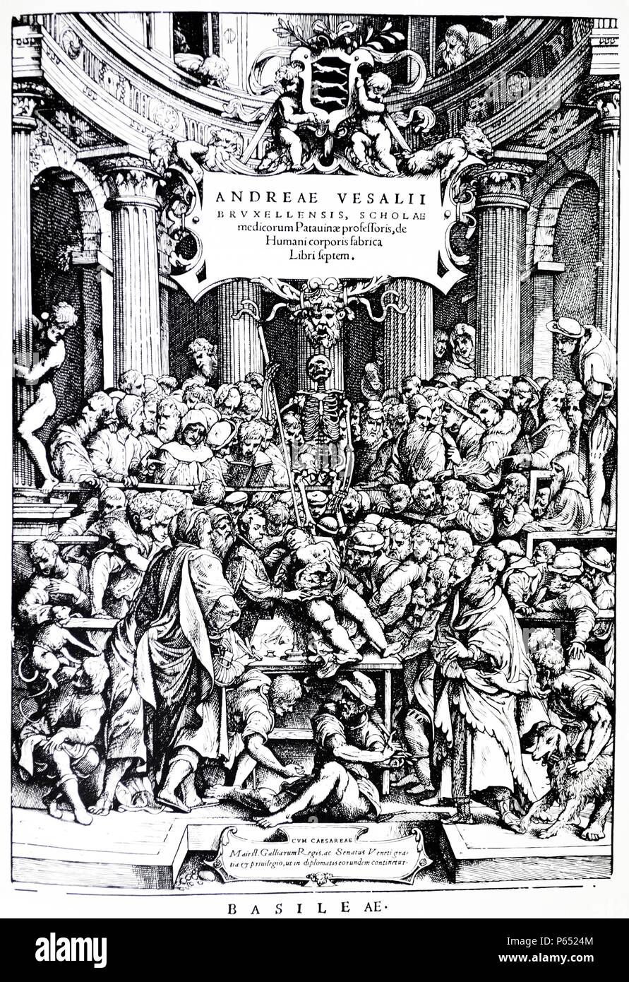 Titolo pagina per la prima edizione del 'De Humani Corporis Fabrica', di Andreas Vesalius, (1514-1564) piastra 2, 1543. Foto Stock
