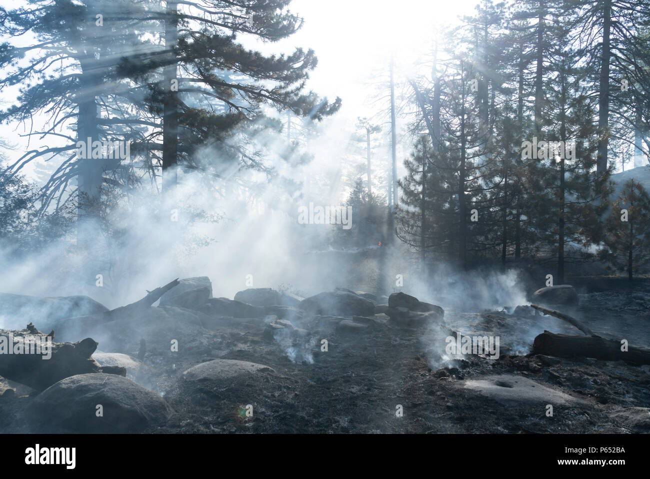 San Jacinto Mountains, CA - MARZO 29: Serrano i nativi americani rimane di un buon mortaio fori nella roccia, dove ghiande e semi sono stati preparati per il cibo in San Jacinto Mountains, la California il 3 aprile 2018. Foto Stock