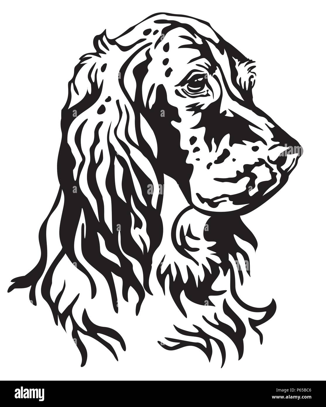 Ritratto decorativo di cane Setter inglese, vettore isolato illustrazione in colore nero su sfondo bianco. Immagine per design e tatuaggio. Illustrazione Vettoriale