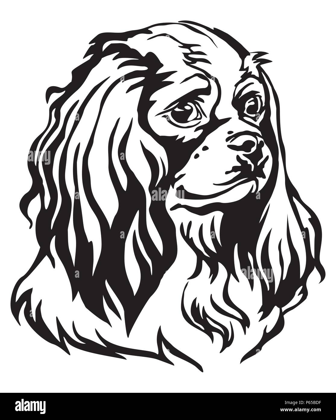 Ritratto decorativo di cane Cavalier King Charles Spaniel, vettore isolato illustrazione in colore nero su sfondo bianco. Immagine per design e tatuaggio Illustrazione Vettoriale