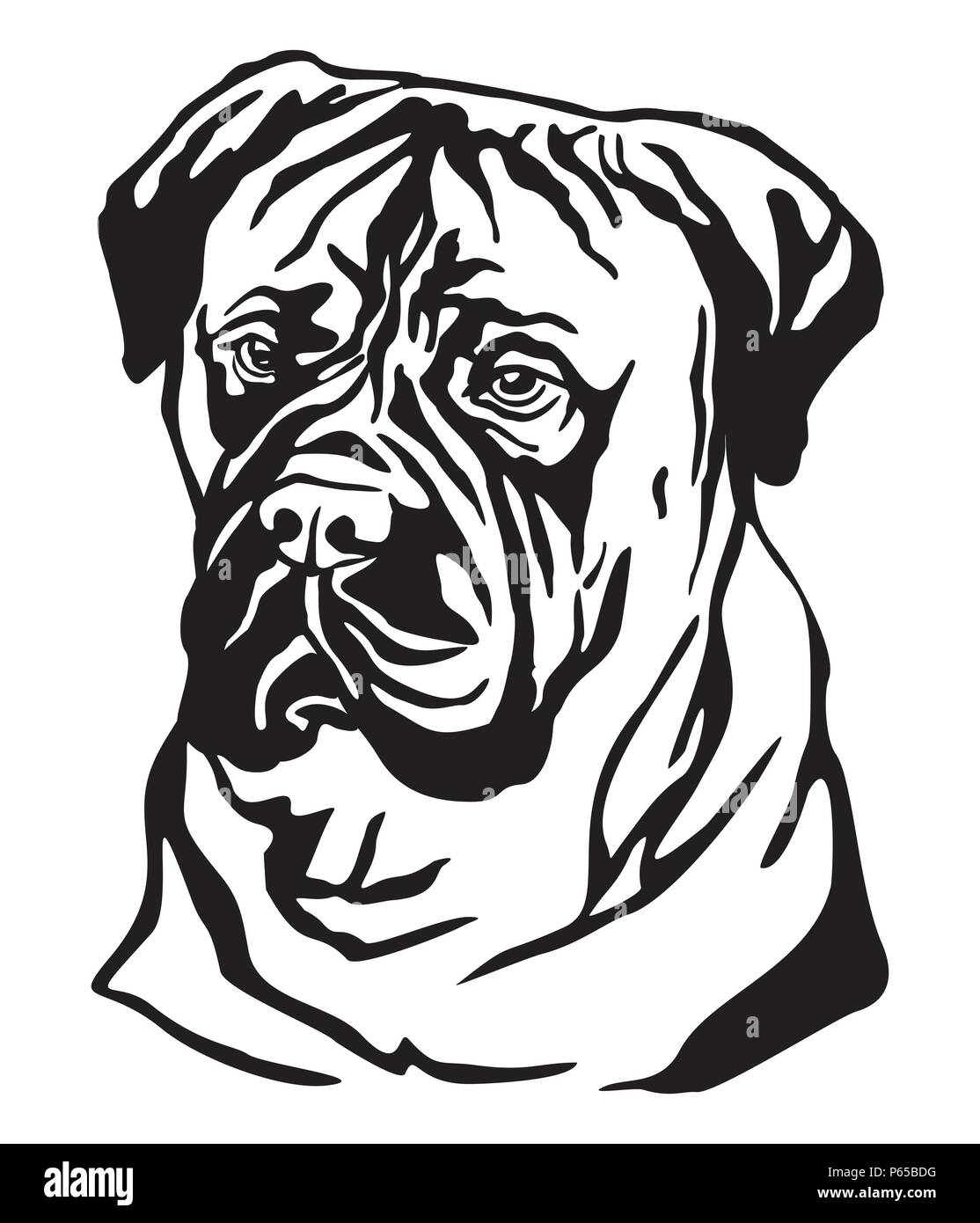 Ritratto decorativo di cane Bullmastiff, vettore isolato illustrazione in colore nero su sfondo bianco. Immagine per design e tatuaggio. Illustrazione Vettoriale