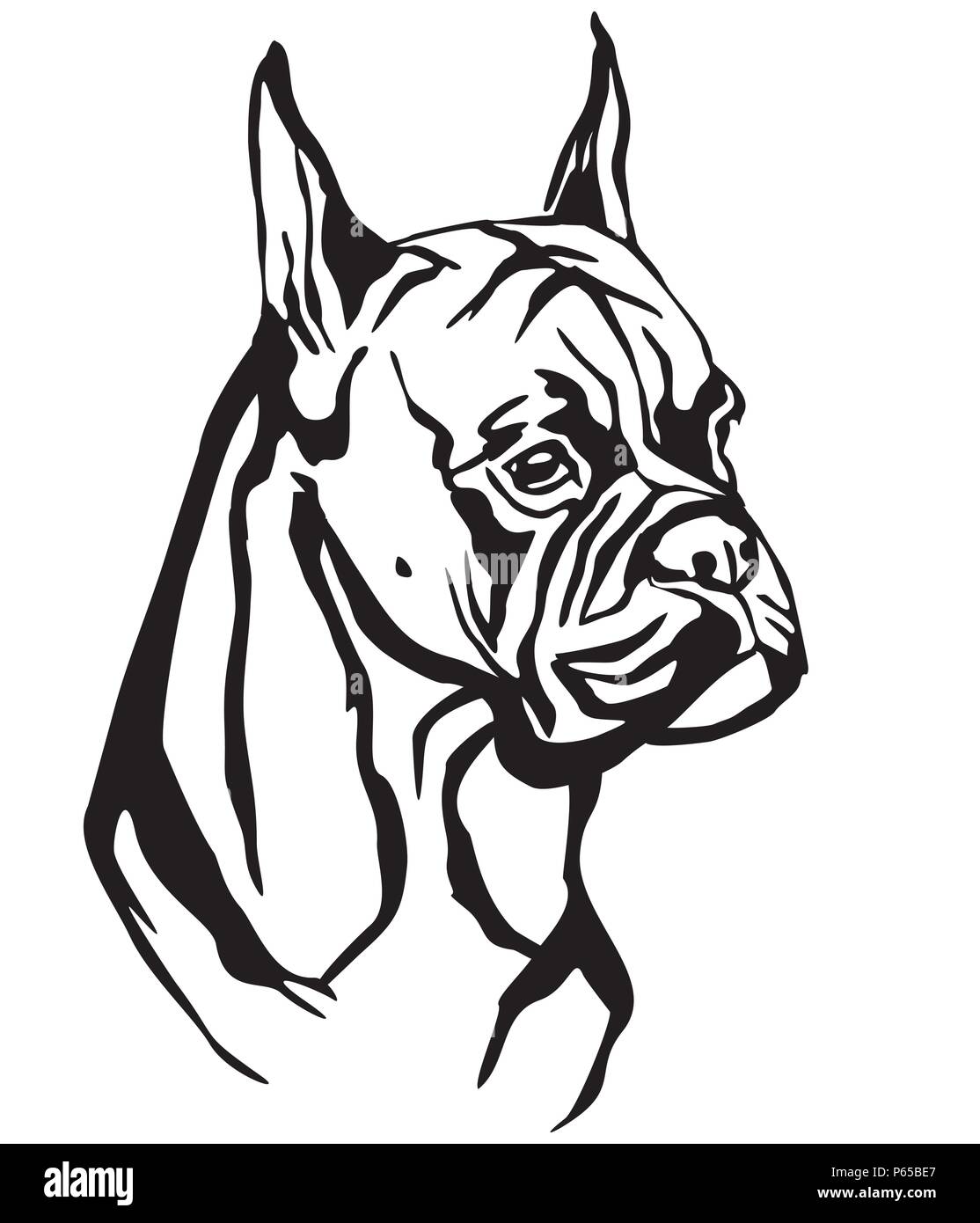 Ritratto decorativo di cane Boxer, vettore isolato illustrazione in colore nero su sfondo bianco. Immagine per design e tatuaggio. Illustrazione Vettoriale