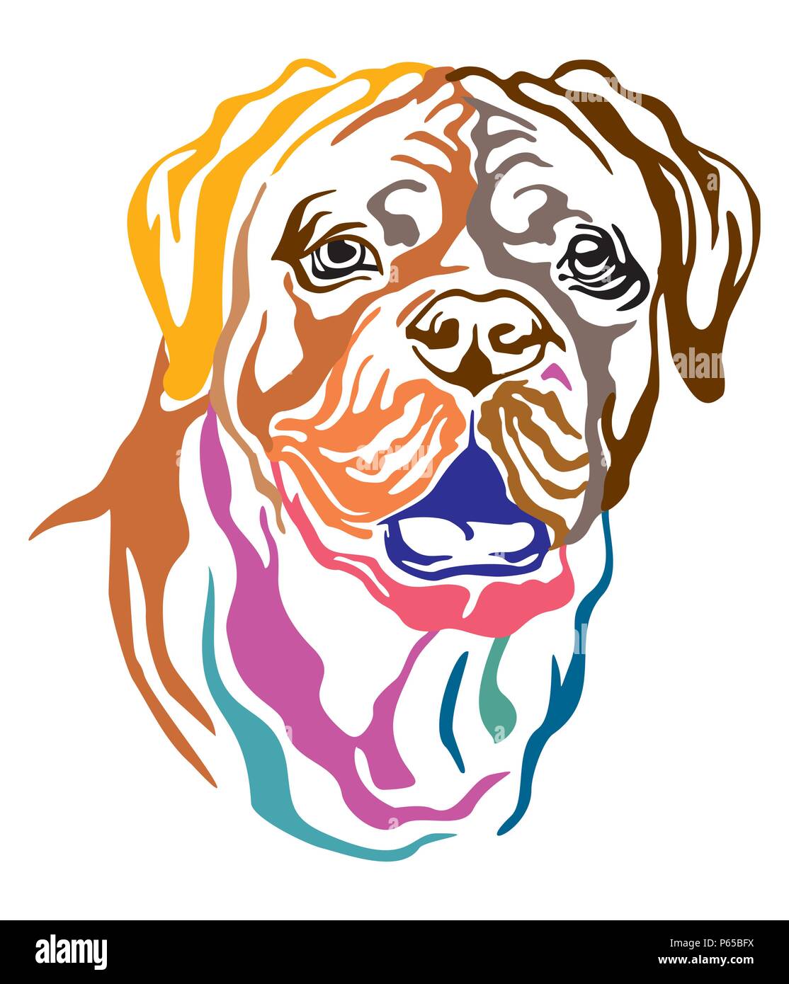 Decorativo colorato ritratto di cane Dogue de Bordeaux (Francese Mastiff), illustrazione vettoriale in colori diversi isolati su sfondo bianco. Immagine fo Illustrazione Vettoriale