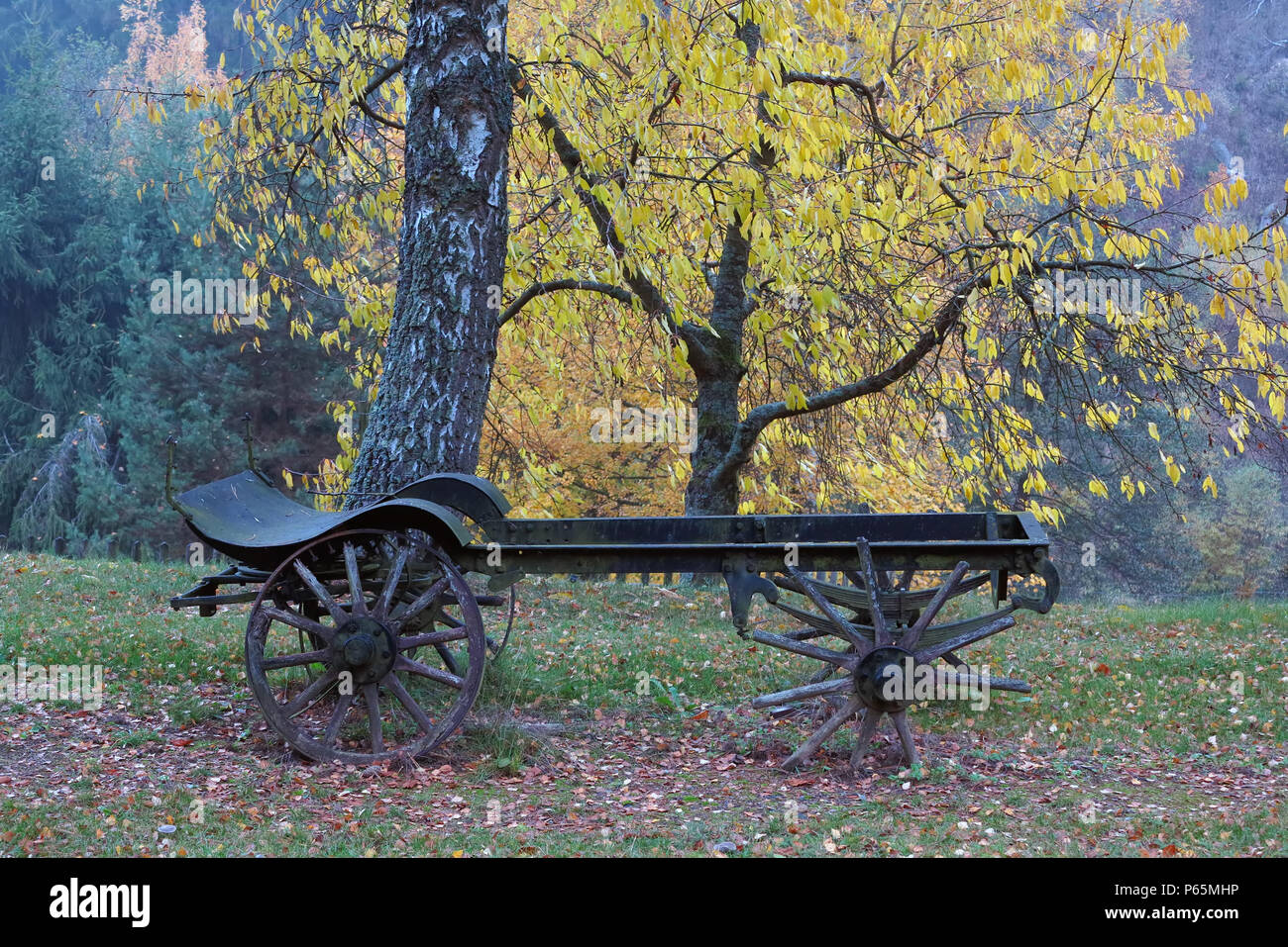 Immagine concettuale della vecchia fattoria carrello sotto un autunno di alberi Foto Stock