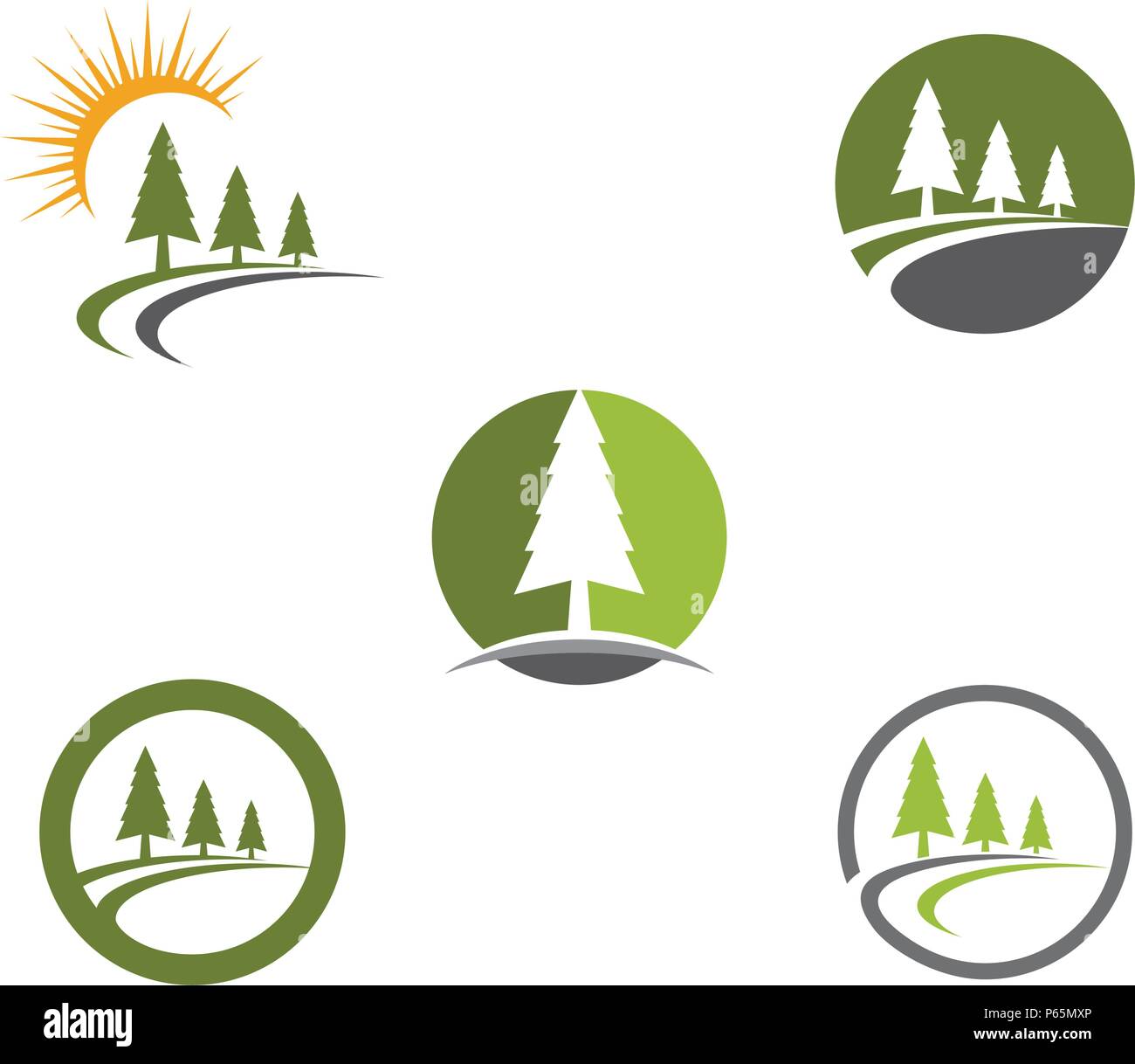 Albero di cedro modello Logo icona vettore illustration design Illustrazione Vettoriale