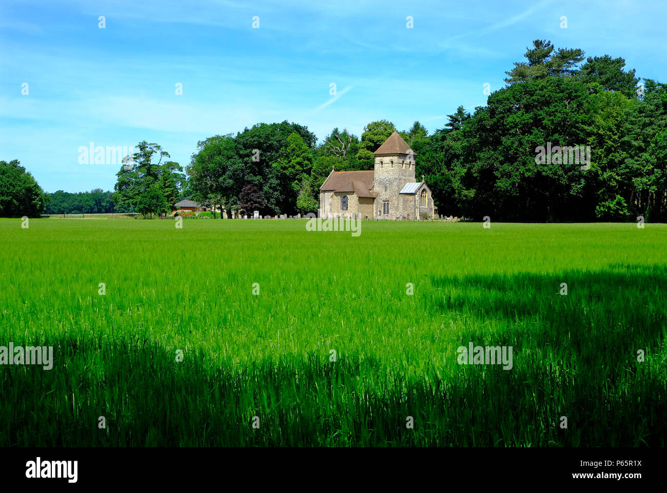 La chiesa di san Pietro, melton constable, North Norfolk, Inghilterra Foto Stock