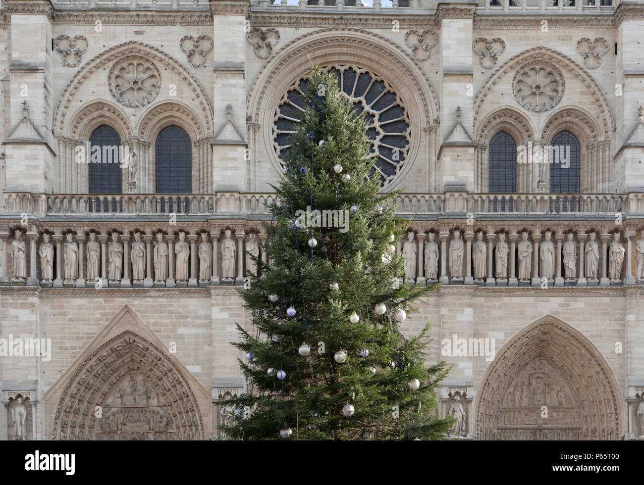 Un albero di Natale di fronte alla facciata occidentale della cattedrale di Notre Dame a Parigi Foto Stock
