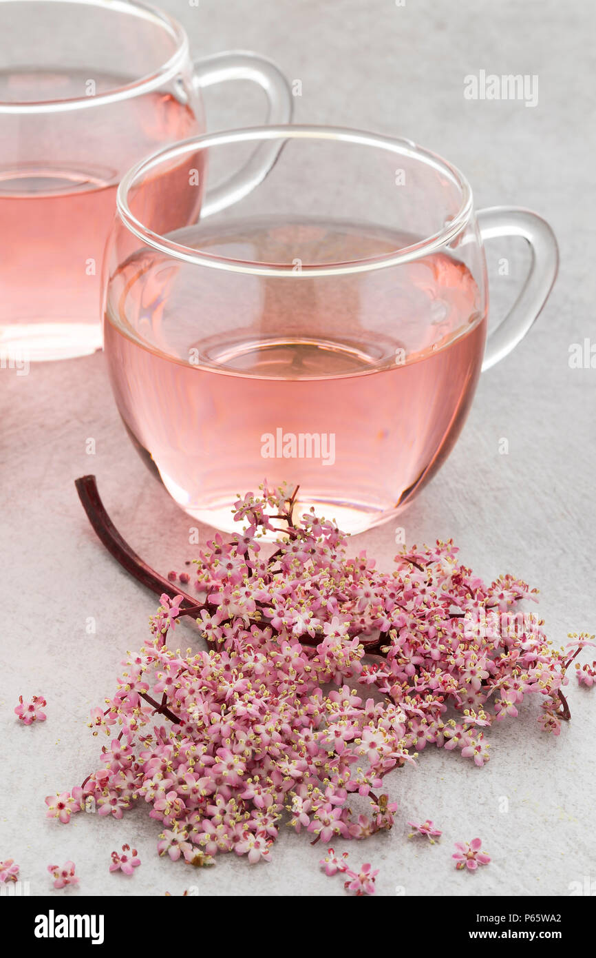 Tazza di rosa sbocciano i fiori di sambuco tè e un ramoscello fresco Foto Stock