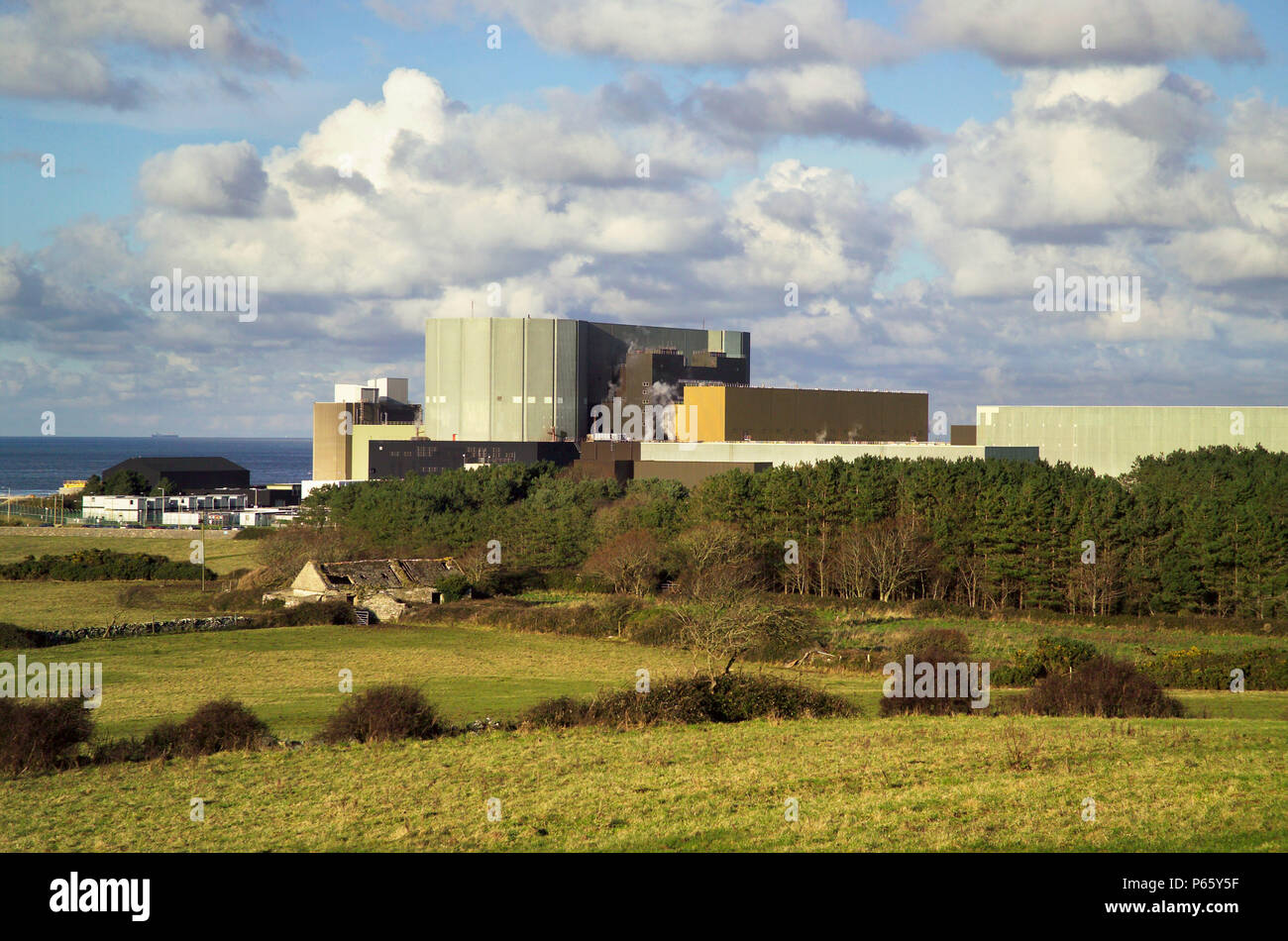 Wylfa Power Station, Isola di Anglesey, North West Wales. Foto Stock