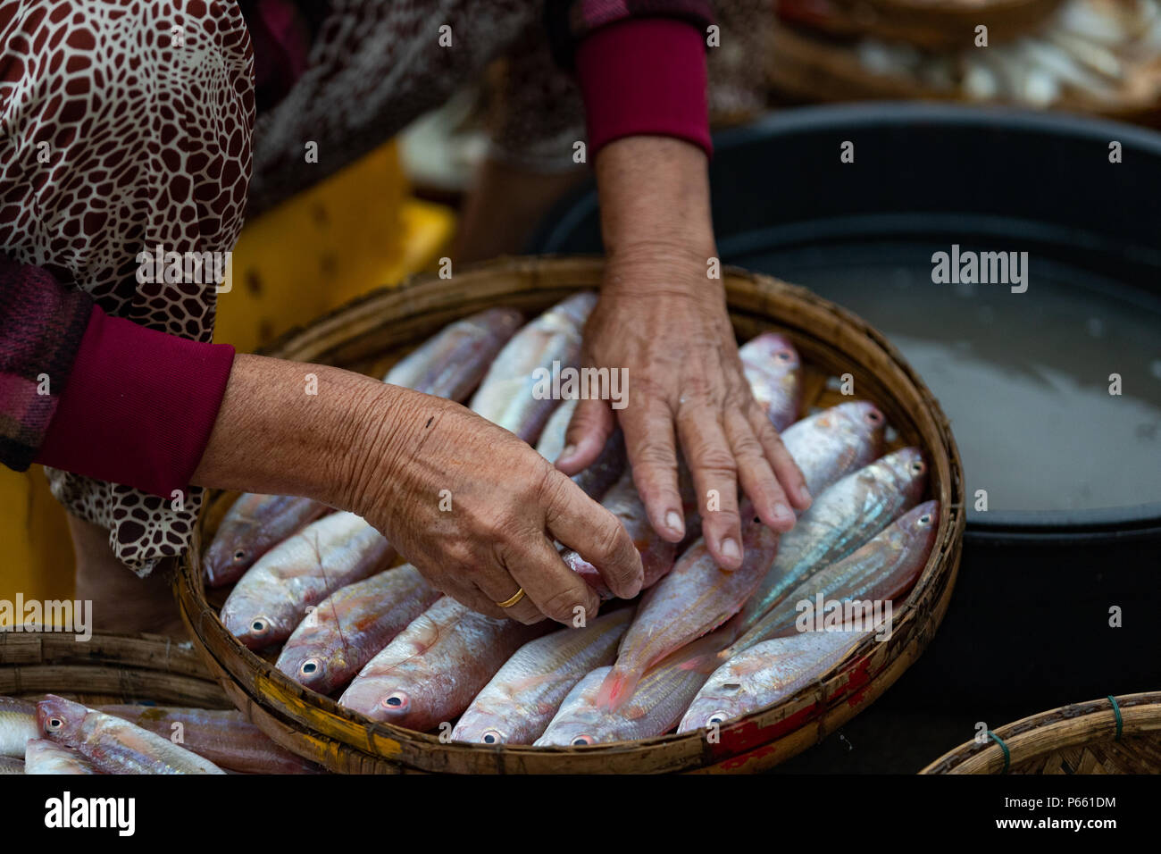 Donna di mano e pesci.La donna in un mercato di pesca in un villaggio di pescatori in Vietnam. Foto Stock