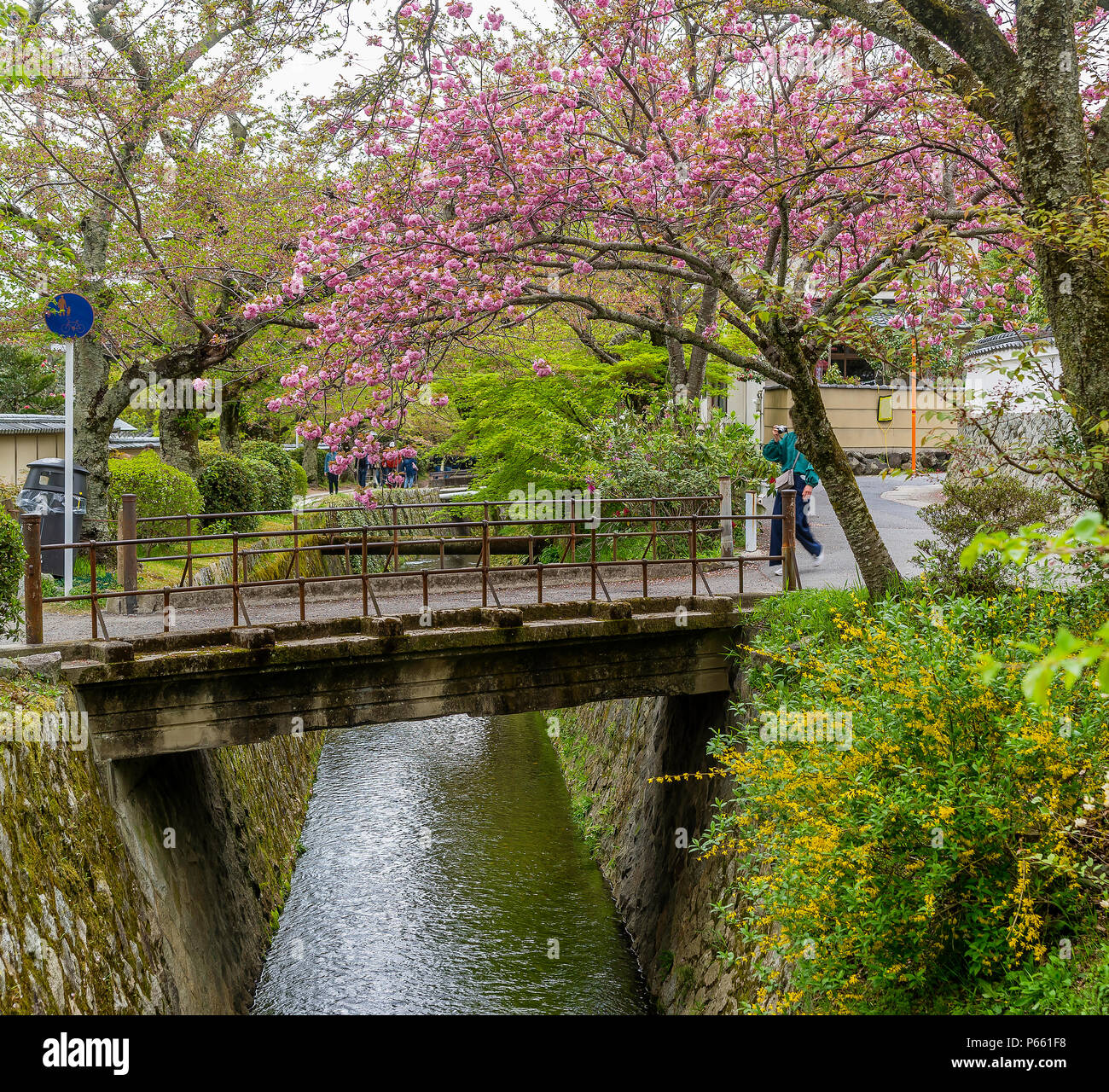 Bellissima vista del famoso filosofo il percorso di Kyoto, Giappone, nella stagione primaverile Foto Stock