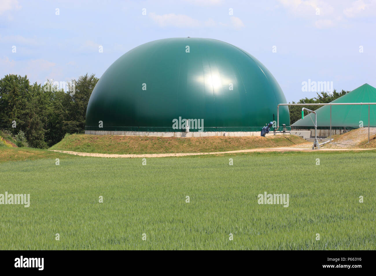 La produzione di biogas, la digestione anaerobica, la raccolta dei processi mediante i quali i microrganismi abbattere materiale biodegradabile in assenza di ossigeno Foto Stock