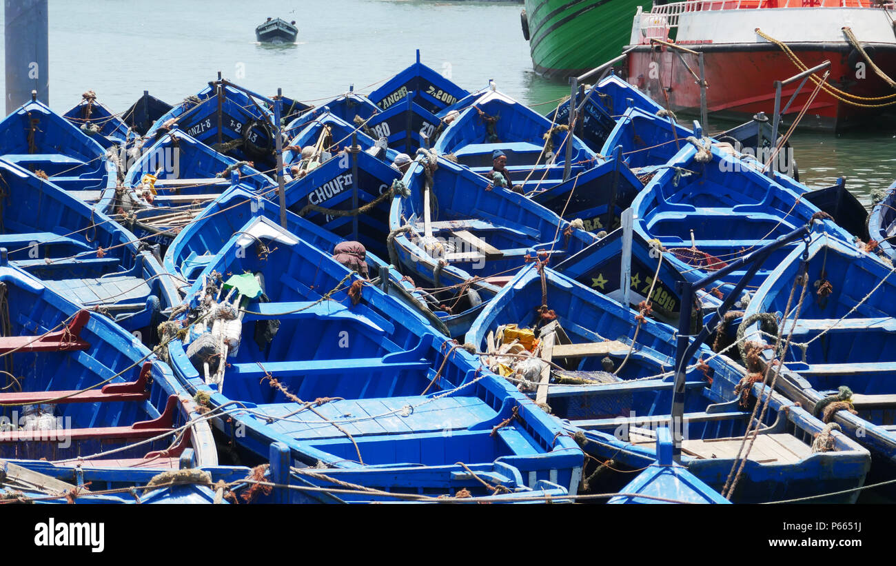Imbarcazioni da pesca blu tiratura ormeggiate a Essaouira, Marocco. Pronto a pescare Foto Stock