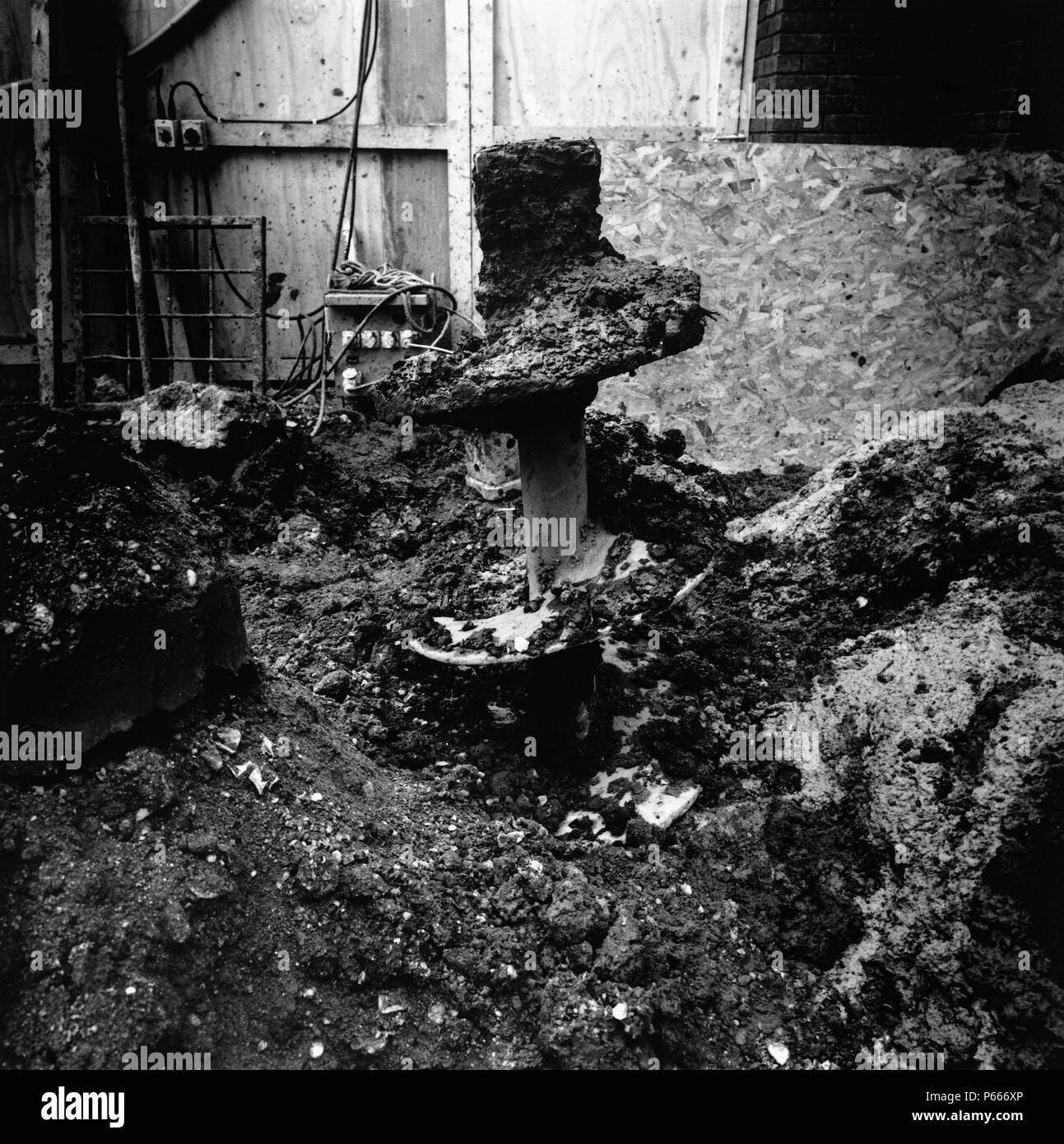 Dettaglio della coclea sul sito. Foto Stock