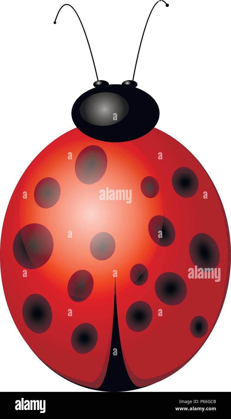 Bella Red Ladybug, illustrazione vettoriale Illustrazione Vettoriale