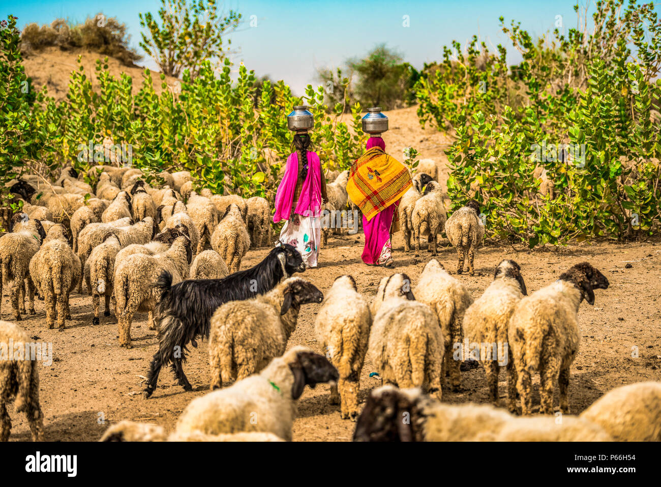 INDIA RAJASTHAN deserto di Thar donne raccolta di acqua dal pozzo Foto Stock