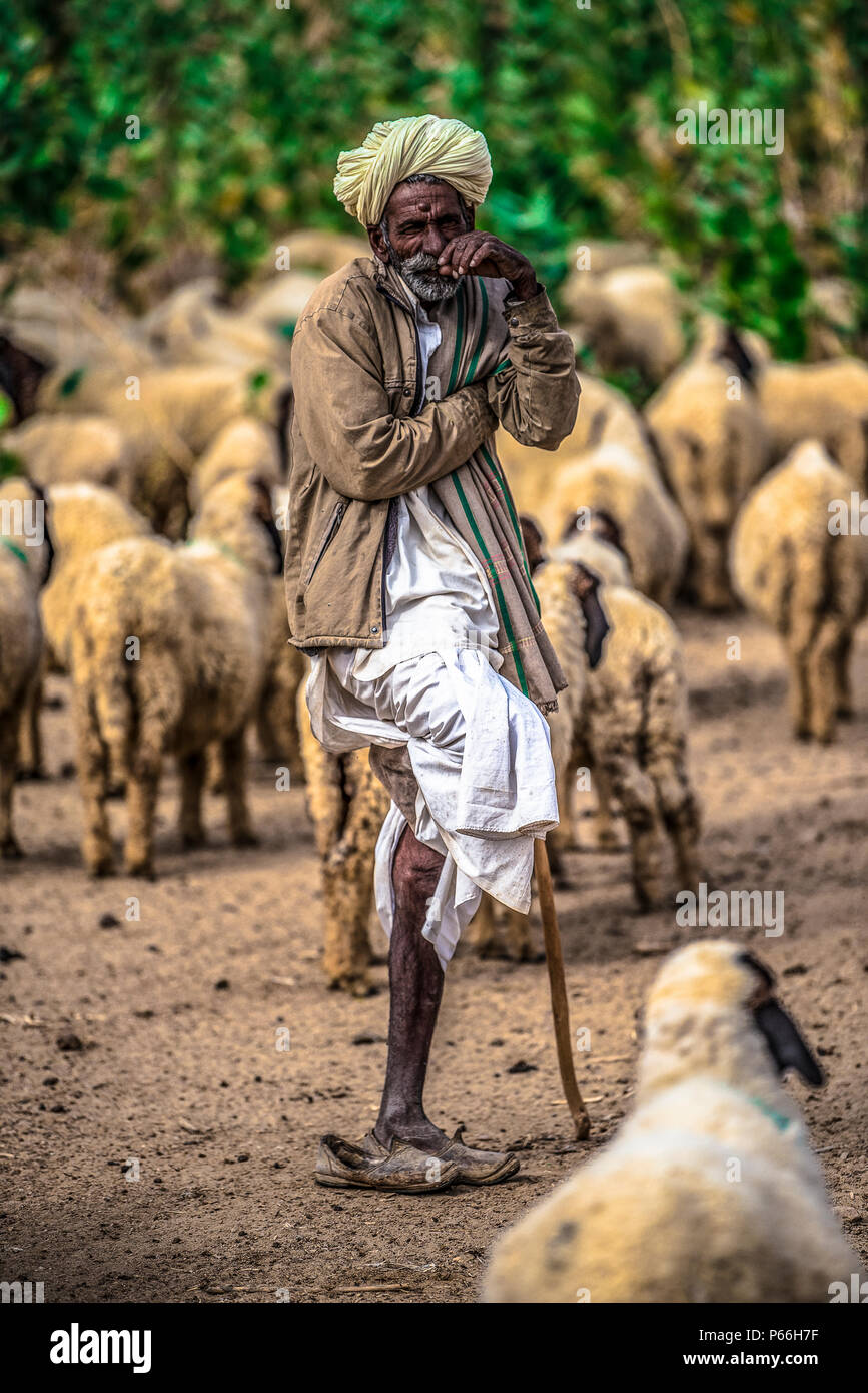 INDIA RAJASTHAN deserto di Thar un pastore con il suo gregge Foto Stock