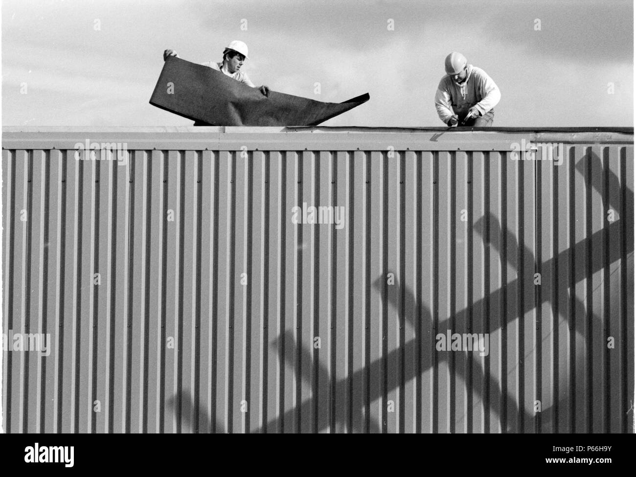 Coperture a Tescos. Western UK. Foto Stock