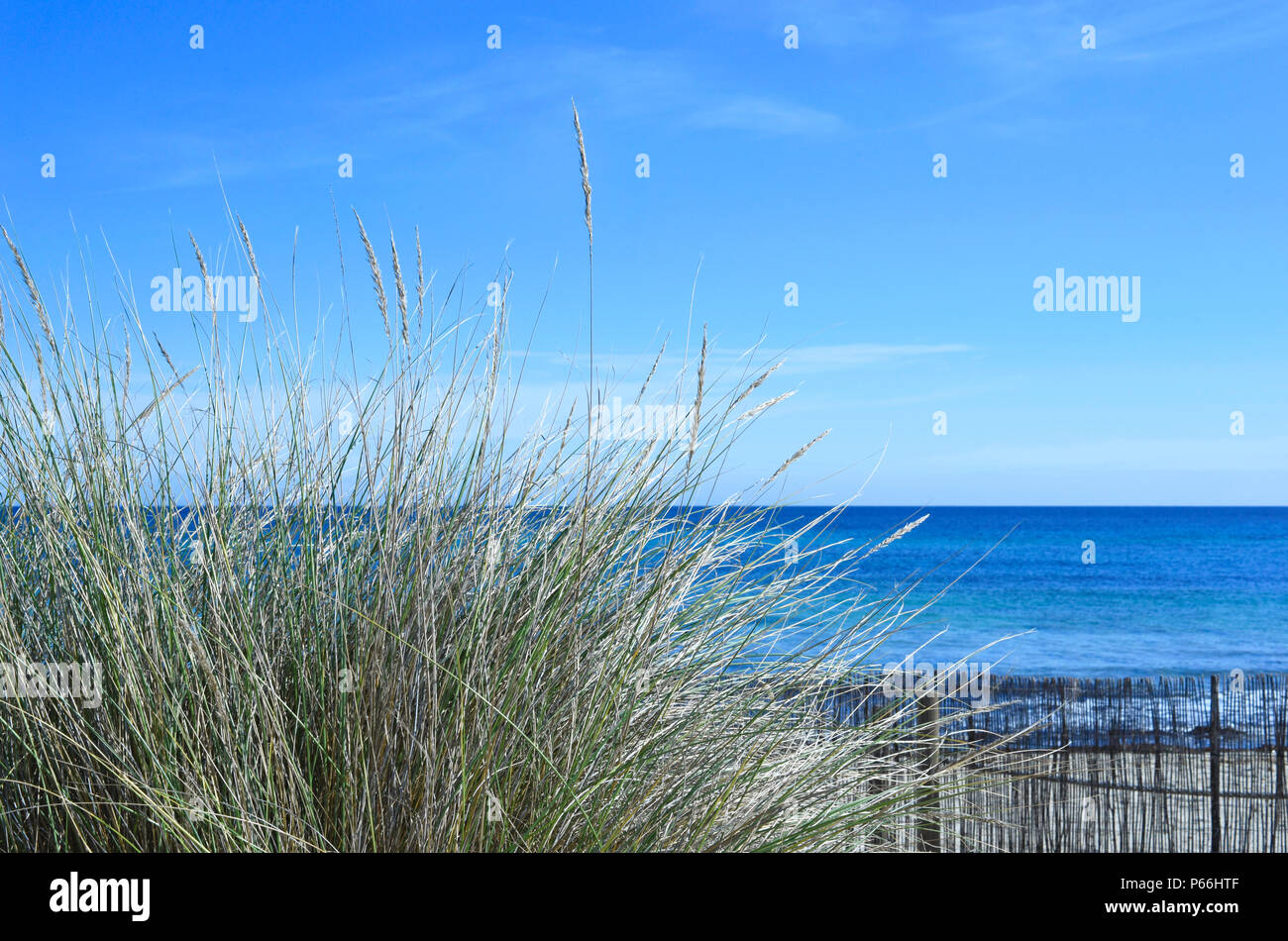 Pettini a la spiaggia con vista al mare, spiaggia sfondo, relax. Holiday Beach scena. Foto Stock