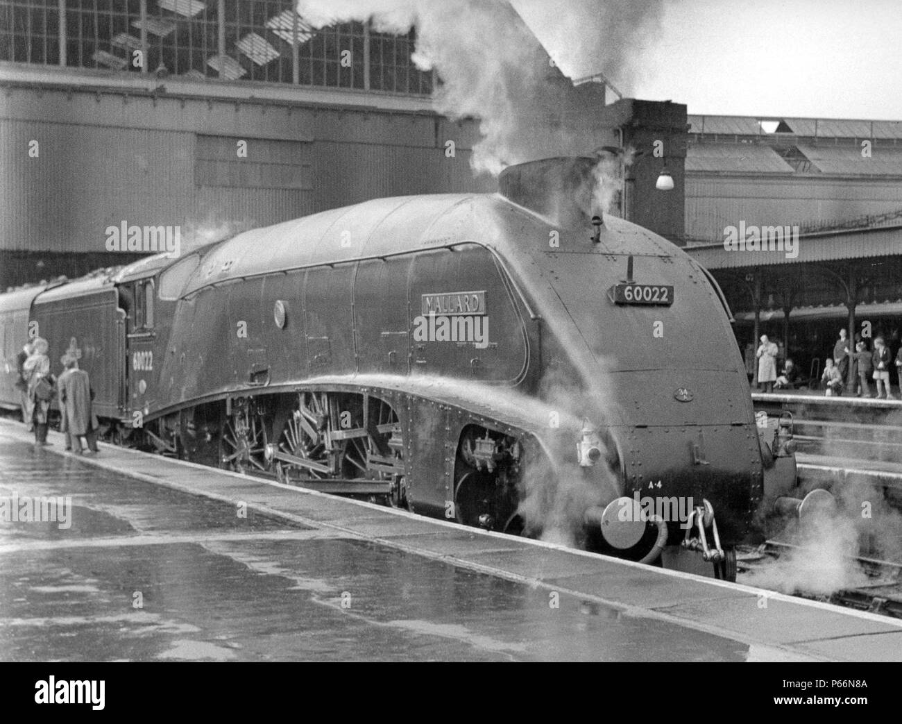 Ex LNER snellito A4 Class Pacific 4-6-2 Germano reale a Londra Kings Cross. C1958 Foto Stock