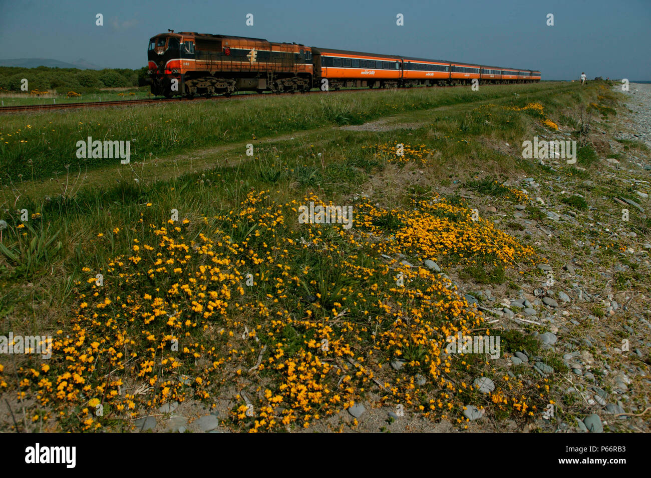 Newcastle beach è una posizione superba per la fotografia ferroviaria e domenica 16 maggio 2004, durante un incantesimo di superba wather - 10:00 Domenica solo Dubl Foto Stock