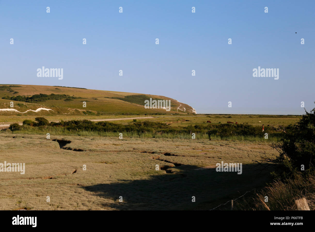 Linea gesso nella banca del fiume lungo Cuckmere Haven Foto Stock