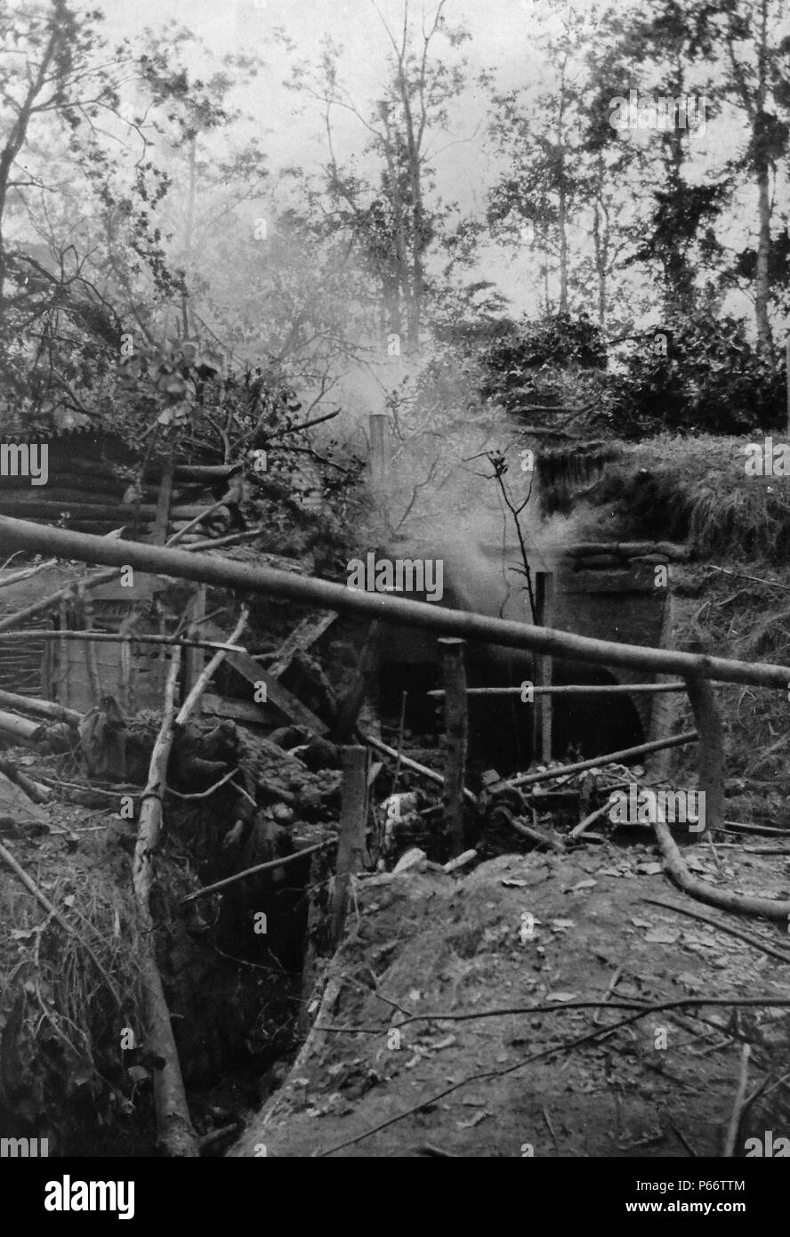 I resti di mezza bruciato i corpi dei soldati tedeschi in un campo improvvisato crematorio in trincee che erano state detenute dall'esercito tedesco, nella Francia orientale, Francia, durante la prima guerra mondiale. 1916 Foto Stock