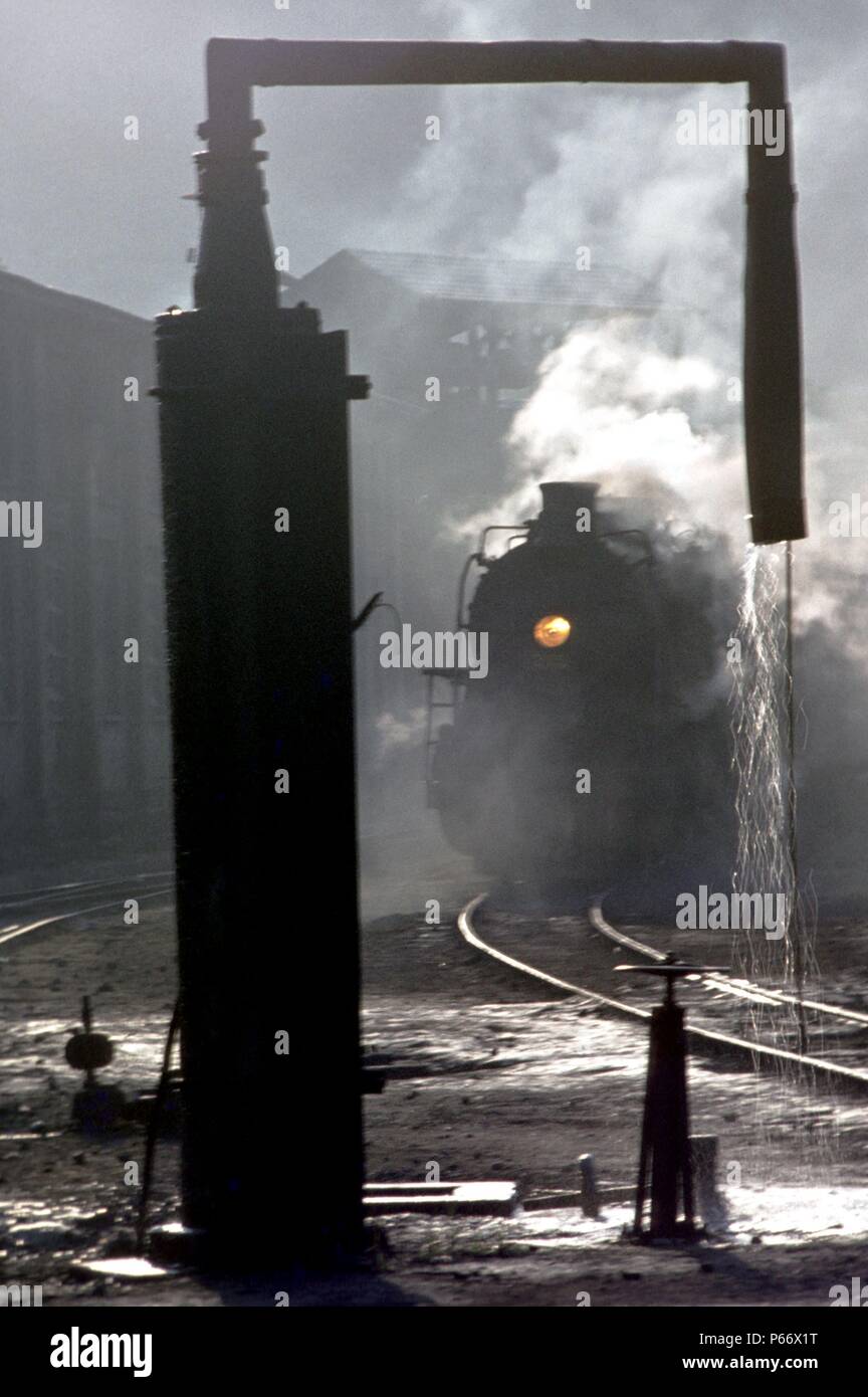 Un Baldwin costruito Mikado 2-8-2 nel deposito cantiere al Tubano sul Brasile del manometro misuratore Dona Teresa Cristina ferroviarie, 13-12-1978. Foto Stock