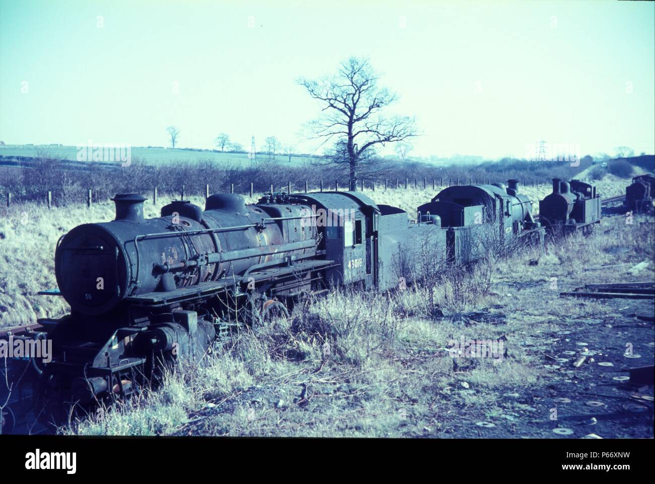 Cohen è Cransley scrapyard situato sulla ex ferrovia Midland ironstone del ramo da Kettering a Loddington. In attesa di essere rotti sono un ex LM Foto Stock