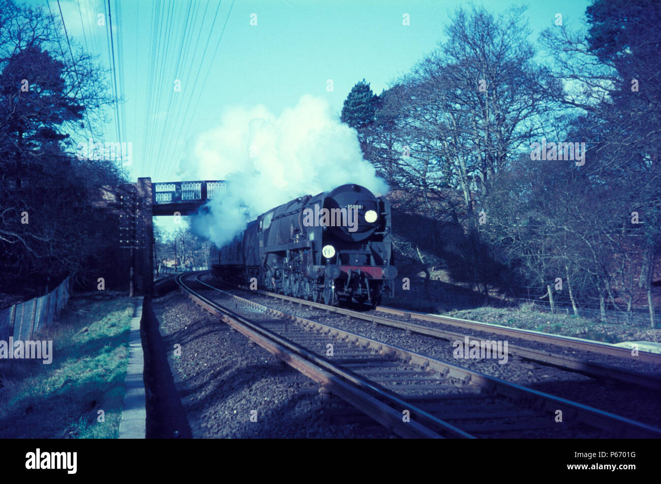 Stazione ferroviaria meridionale della Marina Mercantile Pacific No.35008 orientare le gare di linea attraverso la nuova foresta con un West bound express. Foto Stock