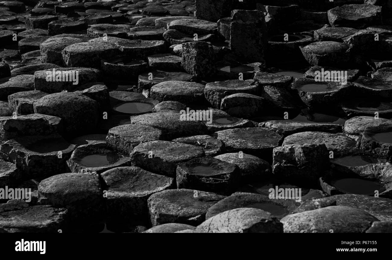 Giants Causway al tramonto Foto Stock