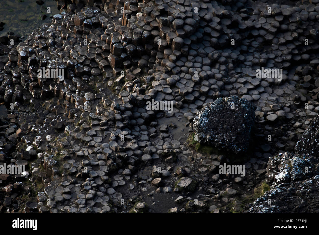 Giants Causway al tramonto Foto Stock