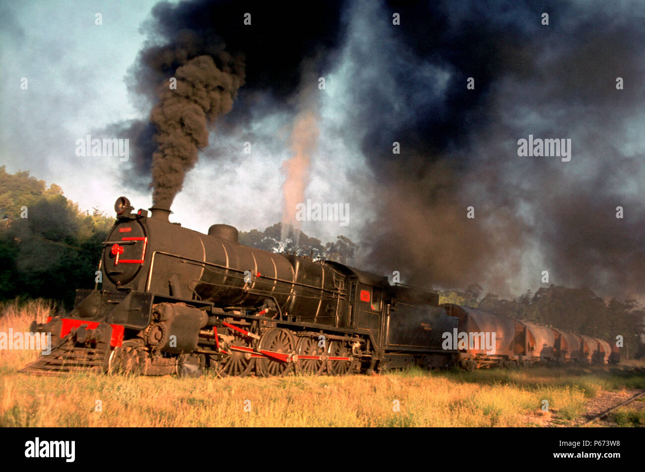 Argentina stazione 15B Classe n° 1583 rispettivamente costruito dalla Fonderia Vulcan nel 1948 per il Buenos Aires Great Southern Railway capi un treno merci lontano da La Foto Stock