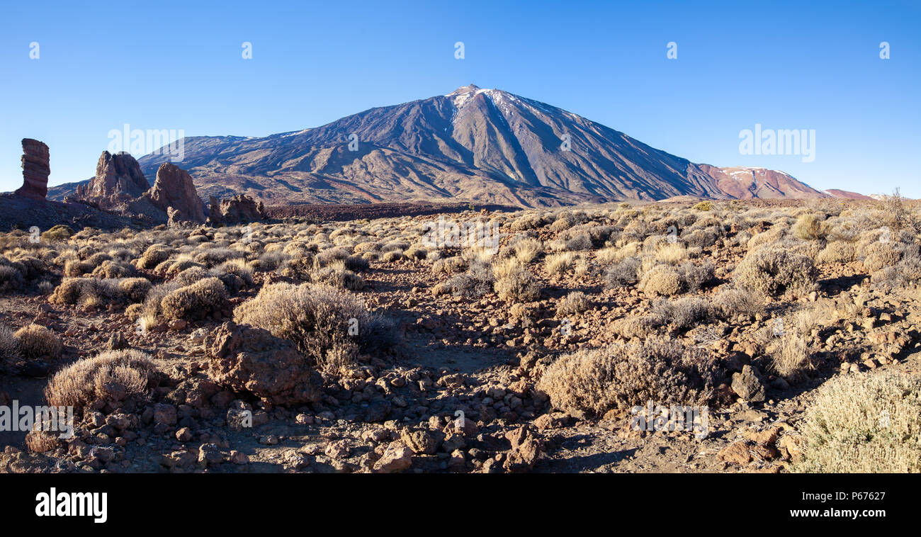 Vista panoramica del famoso Pico del Teide vulcano di montagna nel Parco Nazionale del Teide, Tenerife, Isole Canarie, Spagna Foto Stock