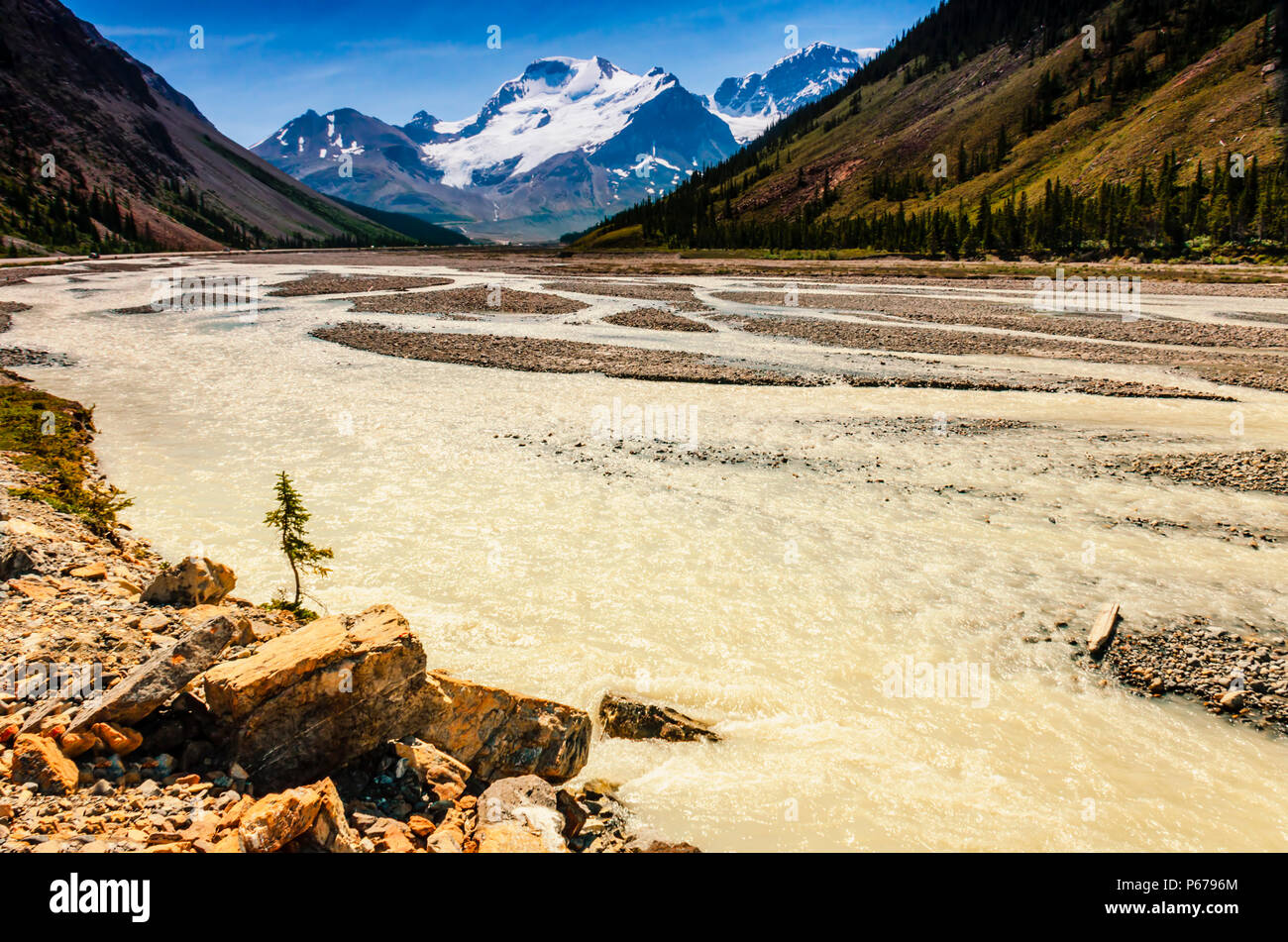 Il Fiume Giallo e tra le montagne del Parco Nazionale di Banff. Rocce e struttura ad albero anteriore, montagna con la neve e il cielo blu sullo sfondo Foto Stock