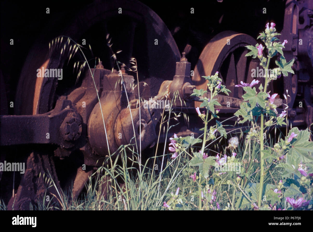 Ruote motrici in mezzo alla vegetazione rampante della locomotiva a vapore cimitero a Salonicco Grecia. Foto Stock