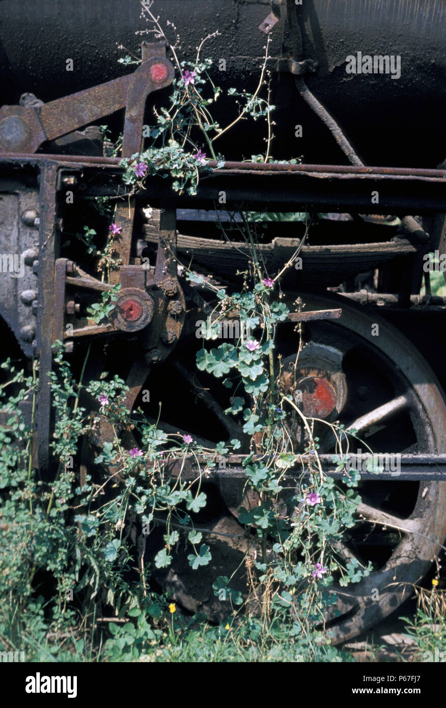Ruote motrici in mezzo alla vegetazione rampante della locomotiva a vapore cimitero a Salonicco Grecia. Foto Stock