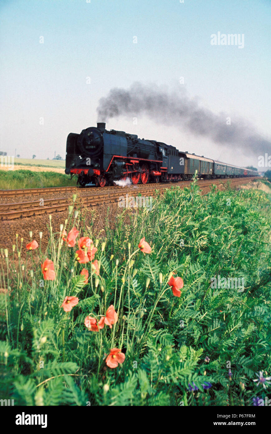 Dell'Europa ultimo ad alta velocità di bolina vapore esprime. Il tedesco O1 Class Pacific No.2118 passa il papavero banche a sud di Grossenhain con la 06:37 express fr Foto Stock