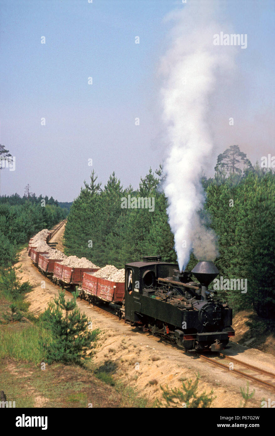 La Germania ultimo attivo 600mm manometro Feldbahn 0-8-0T No.993316 sull'argilla sistema di trasporto a Bad Muskau mercoledì 29 giugno 1977. Vi erano il campo Foto Stock
